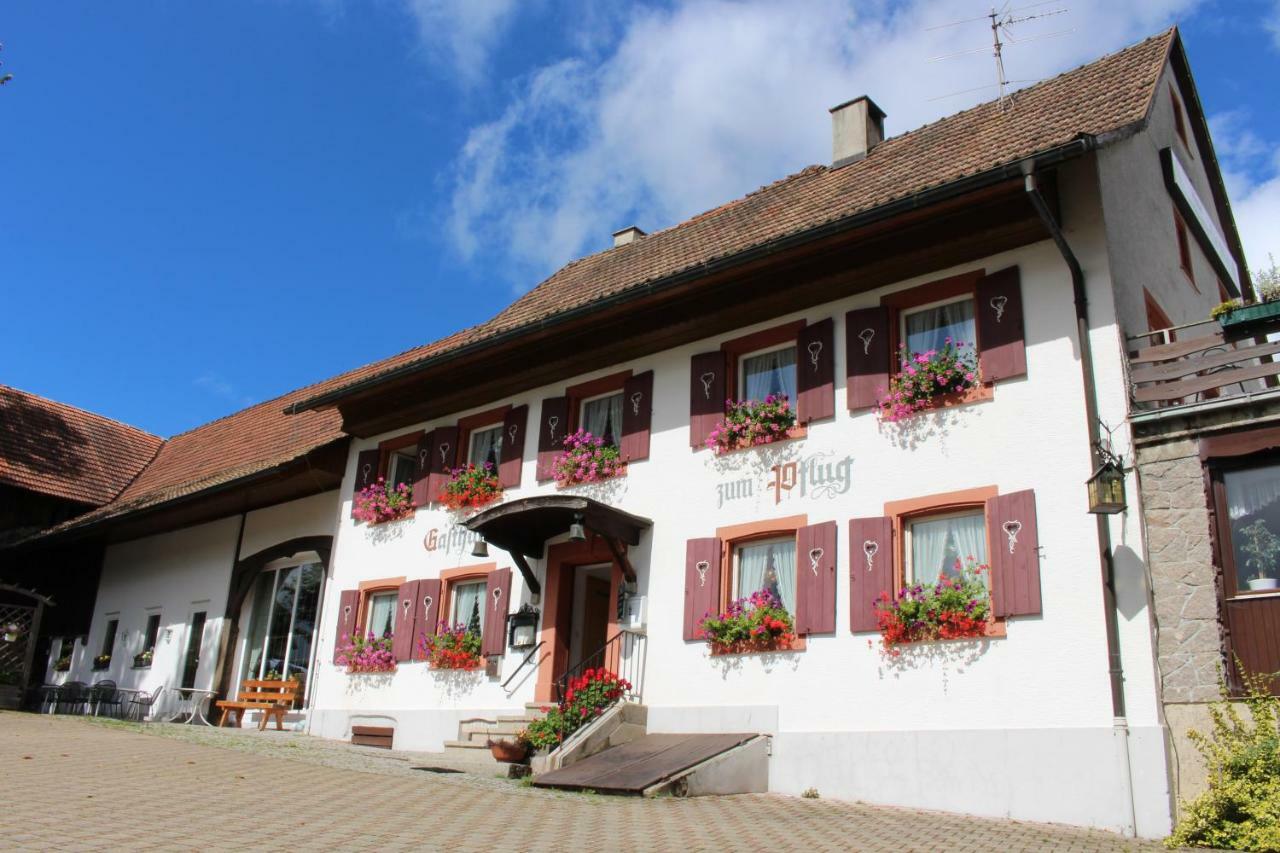 Hotel Landgasthof Zum Pflug Kleines Wiesental Exteriör bild