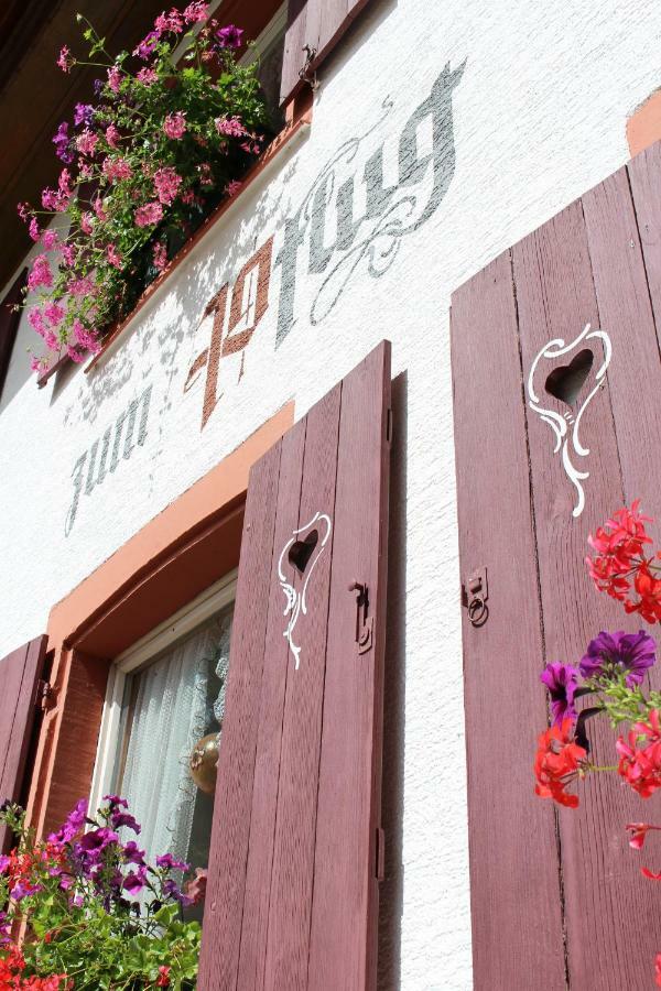 Hotel Landgasthof Zum Pflug Kleines Wiesental Exteriör bild